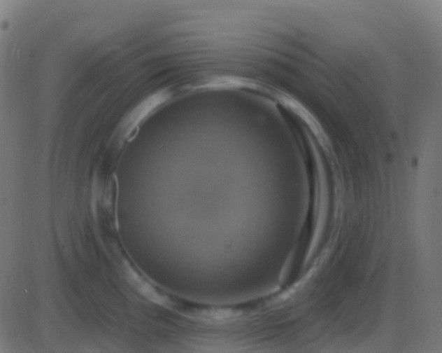 X0000086221193200704051232