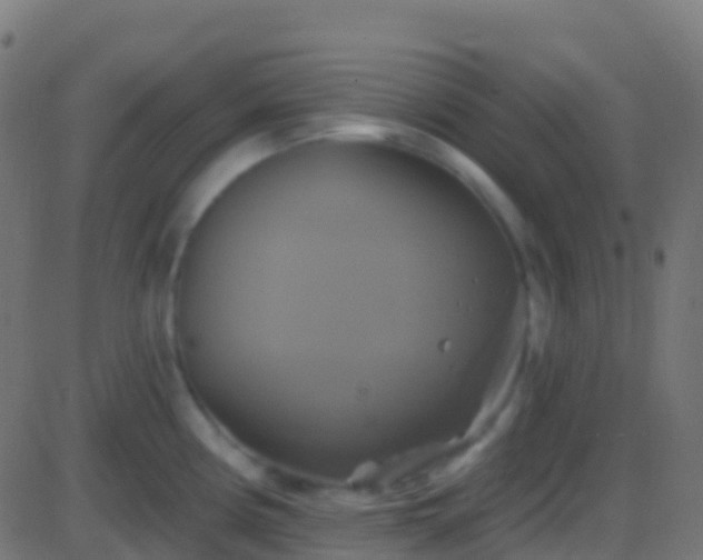 X0000086221194200704051232