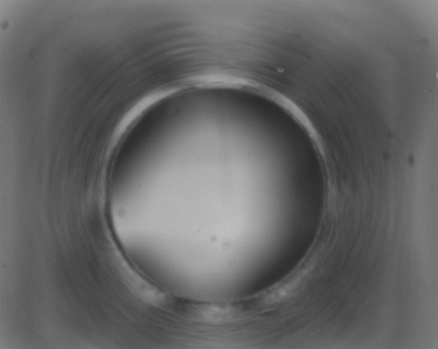 X0000086221195200704051232