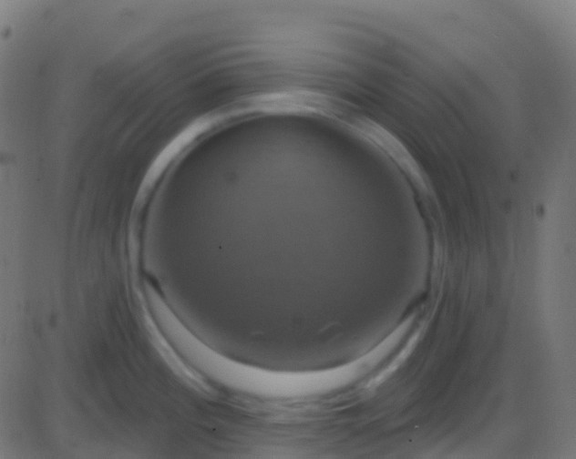 X0000086221196200704051232