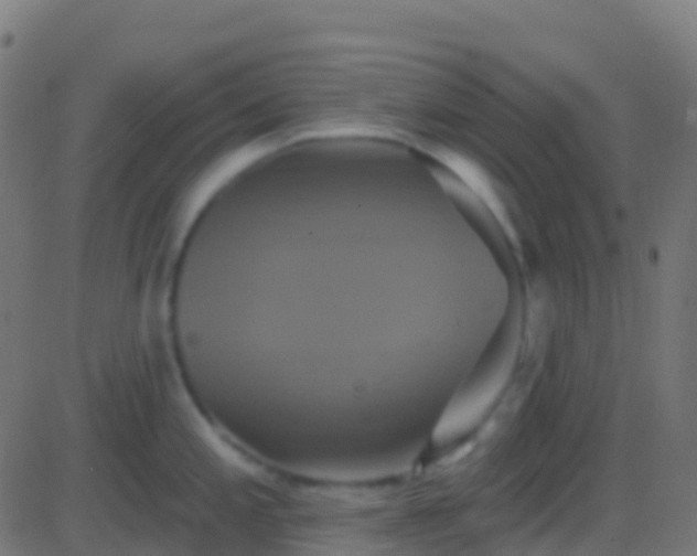 X0000086221197200704051232