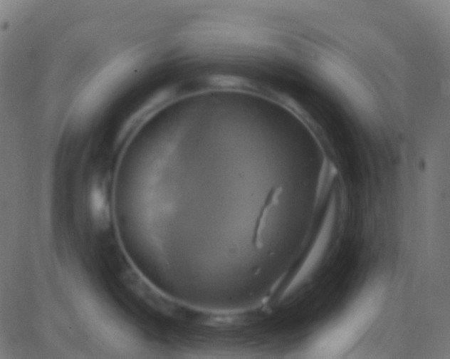 X0000086221198200704051232