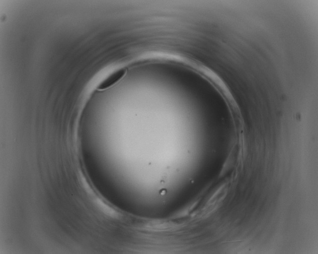 X0000086221199200704051232