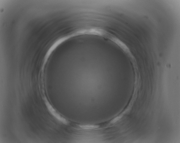 X0000086221200200704051232