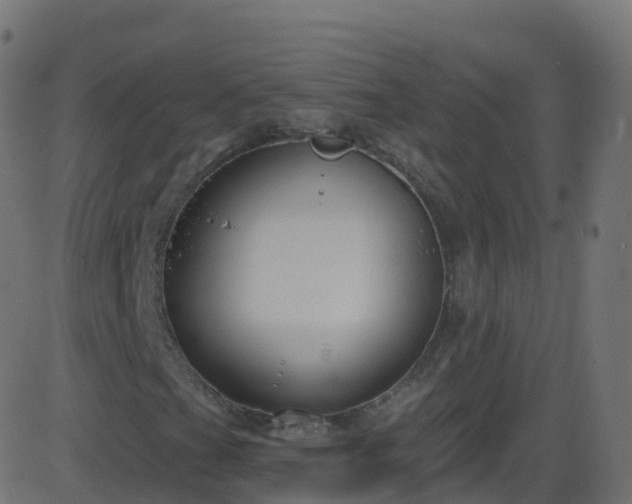 X0000086221201200704051231