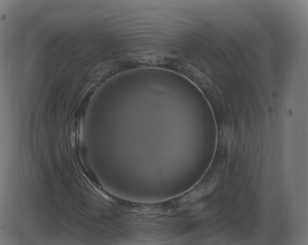 X0000086221202200704051231