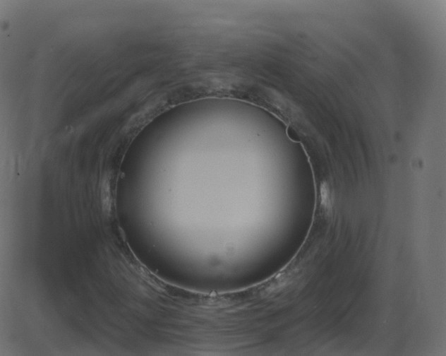 X0000086221203200704051231