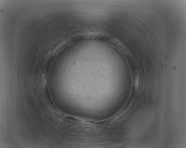 X0000086221204200704051231