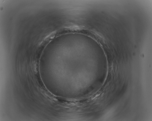 X0000086221205200704051231