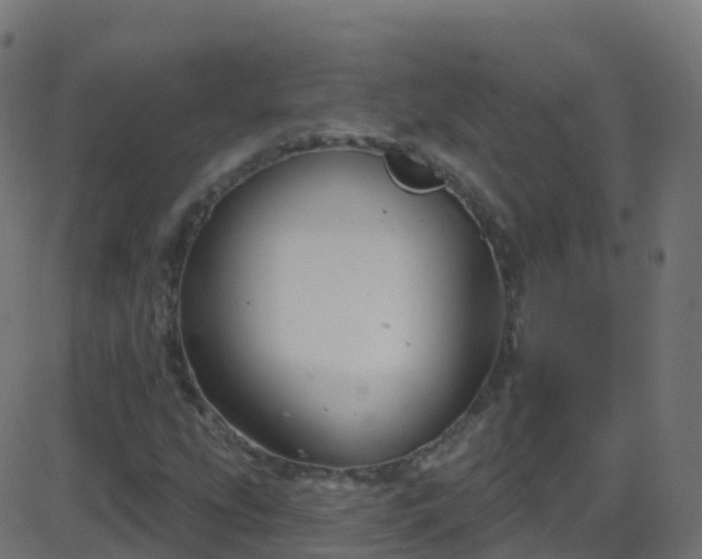 X0000086221207200704051231