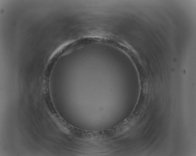 X0000086221208200704051231