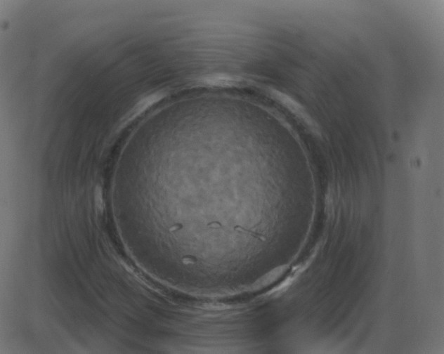 X0000086221209200704051231