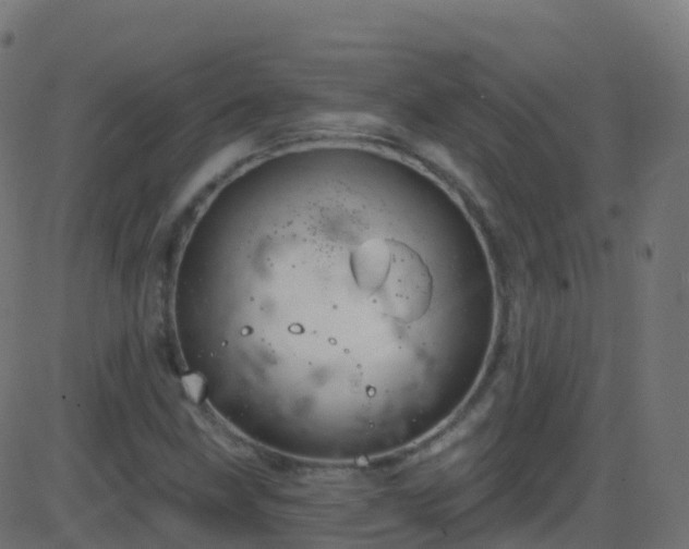 X0000086221211200704051231