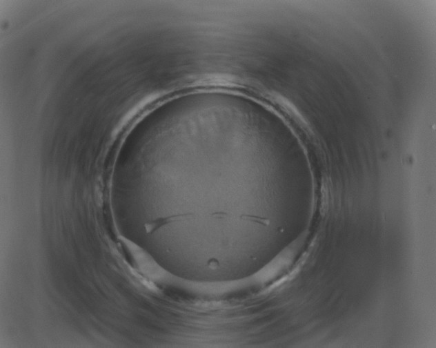 X0000086221212200704051231