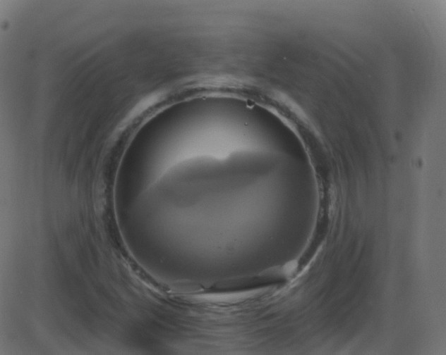 X0000086221213200704051231