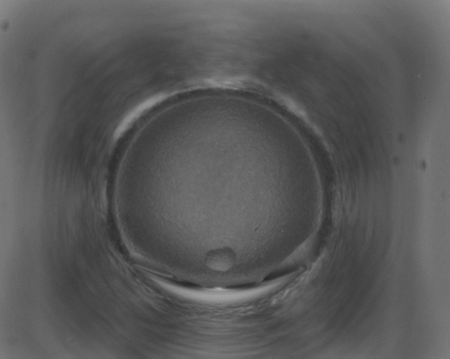 X0000086221214200704051231