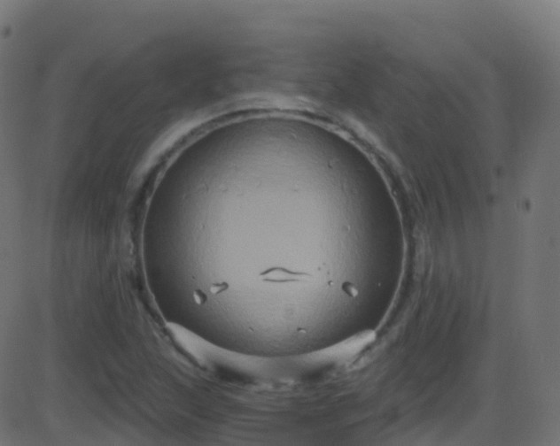 X0000086221215200704051231