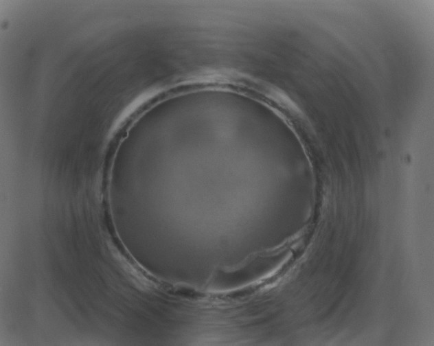 X0000086221216200704051231