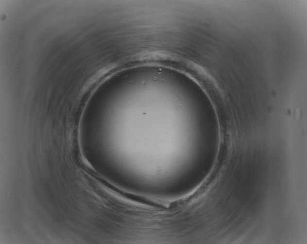 X0000086221217200704051231