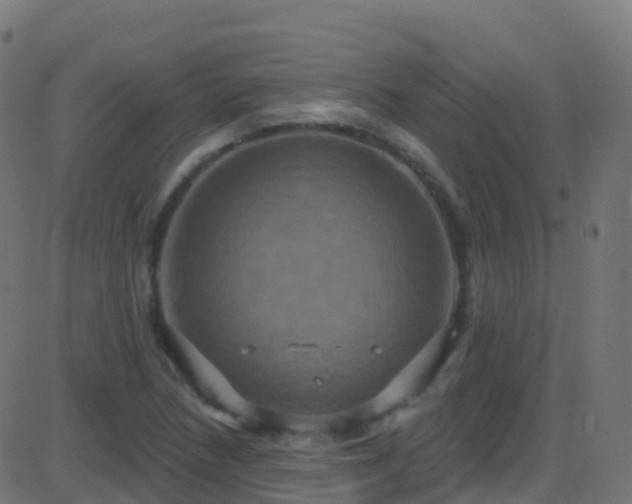 X0000086221218200704051231