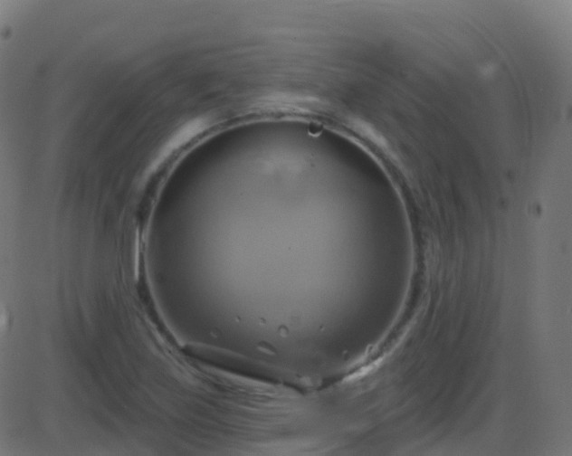 X0000086221219200704051231