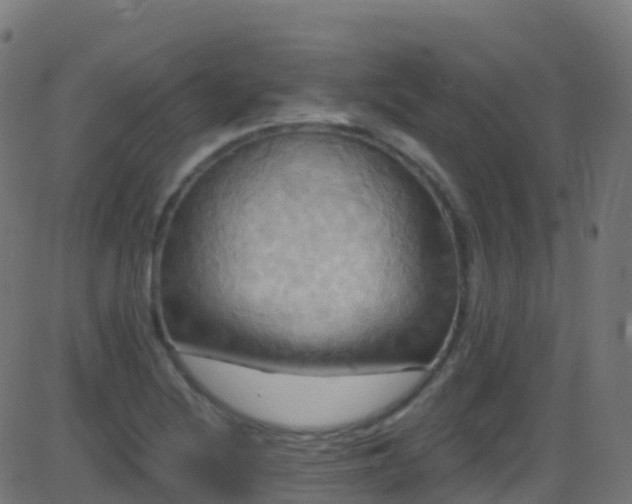 X0000086221220200704051231