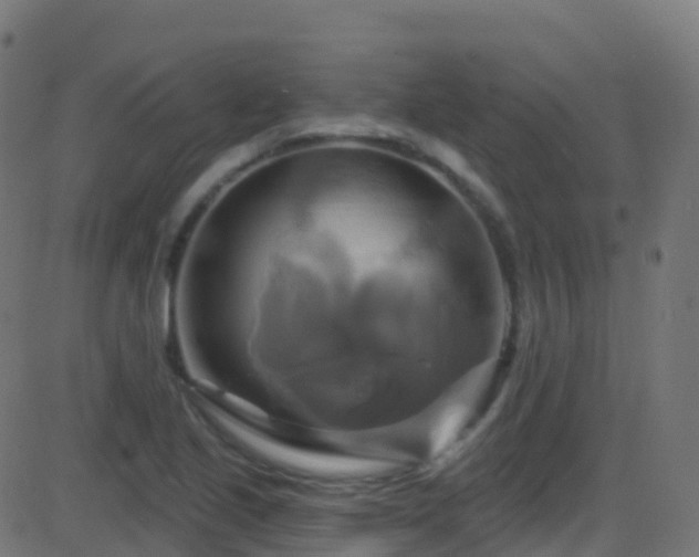 X0000086221221200704051231