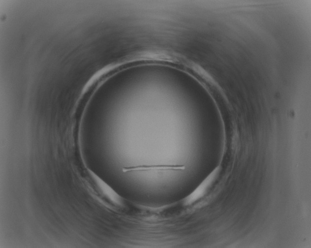 X0000086221222200704051231