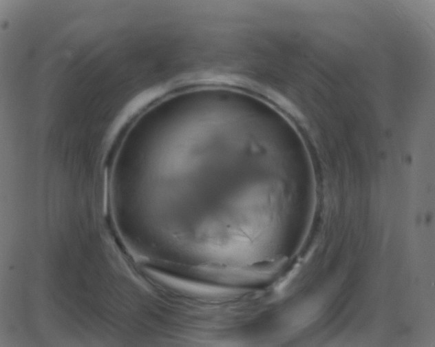 X0000086221223200704051232