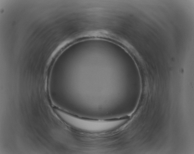 X0000086221224200704051232