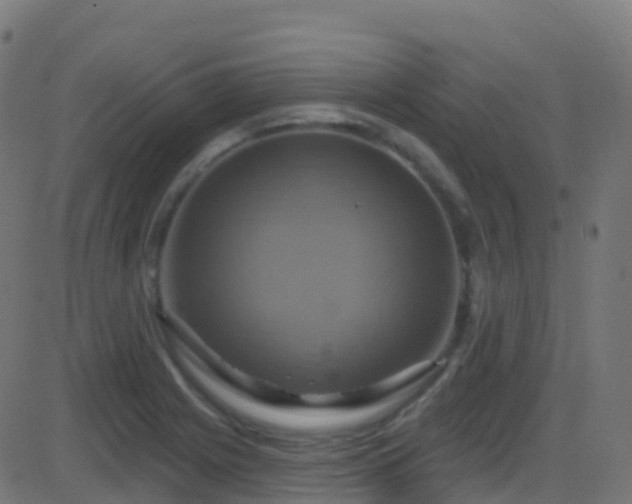 X0000086221225200704051232