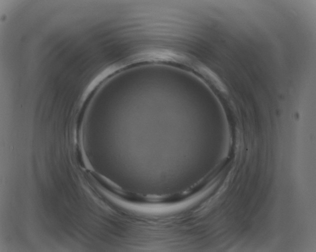 X0000086221226200704051232