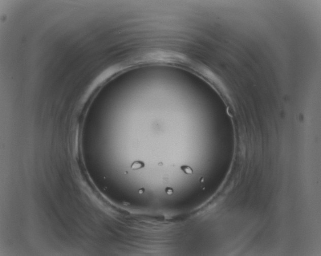 X0000086221227200704051232