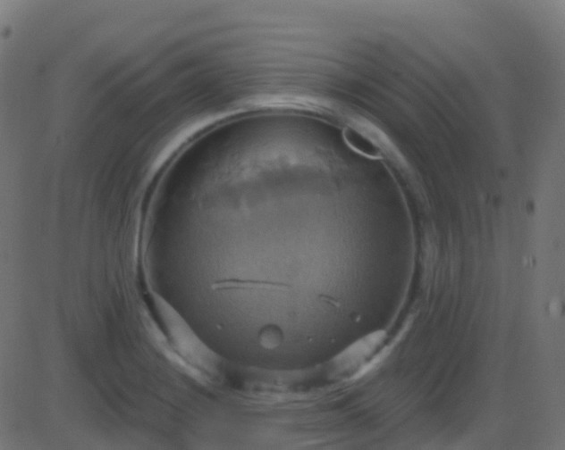 X0000086221228200704051232