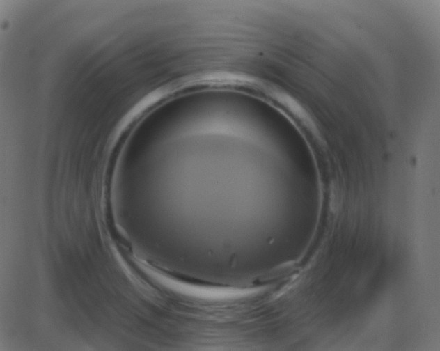 X0000086221229200704051232