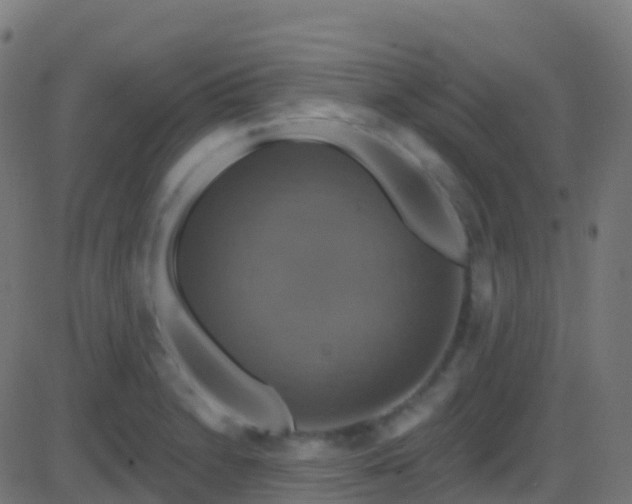 X0000086221230200704051232