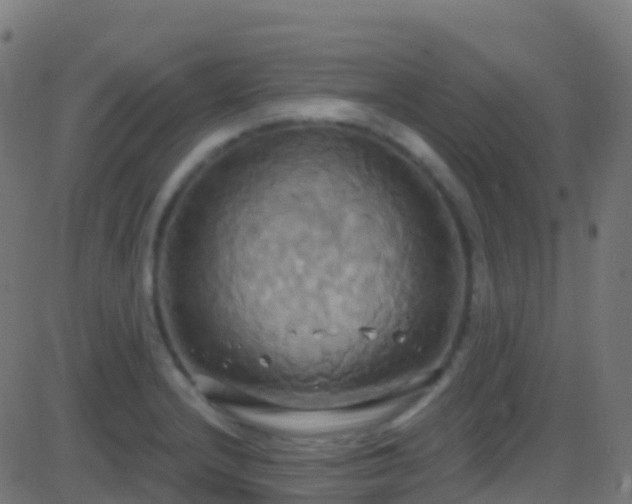 X0000086221232200704051232