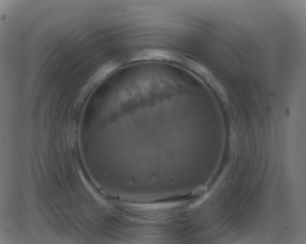 X0000086221233200704051232