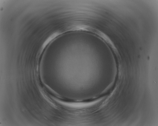 X0000086221234200704051232