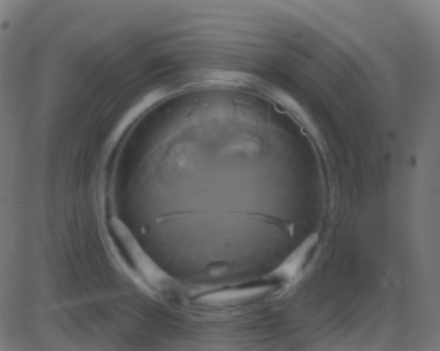 X0000086221235200704051232