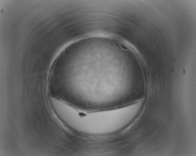 X0000086221236200704051232