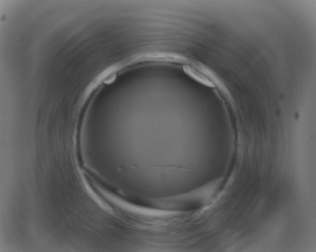 X0000086221237200704051232