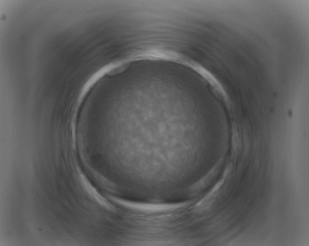 X0000086221238200704051232