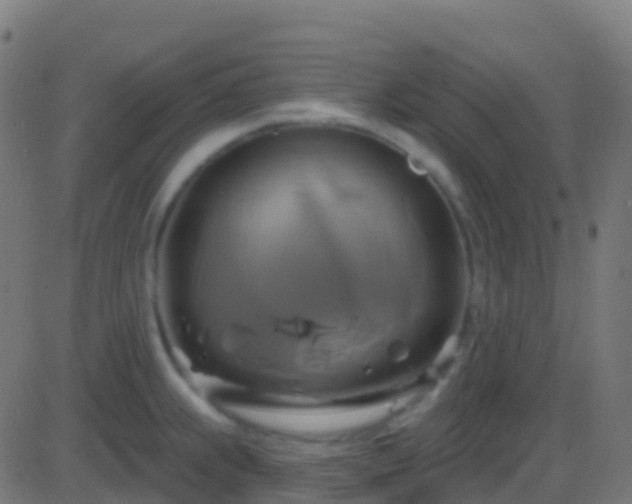 X0000086221239200704051232