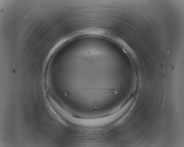 X0000086221240200704051232