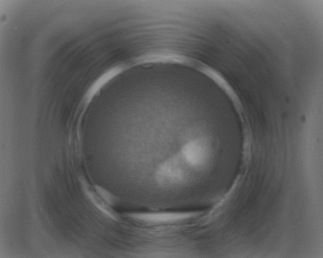 X0000086221242200704051232