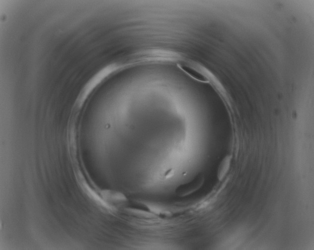 X0000086221243200704051232