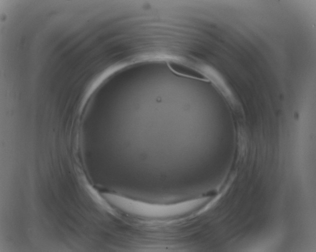 X0000086221244200704051232