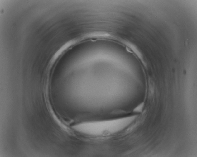 X0000086221245200704051232