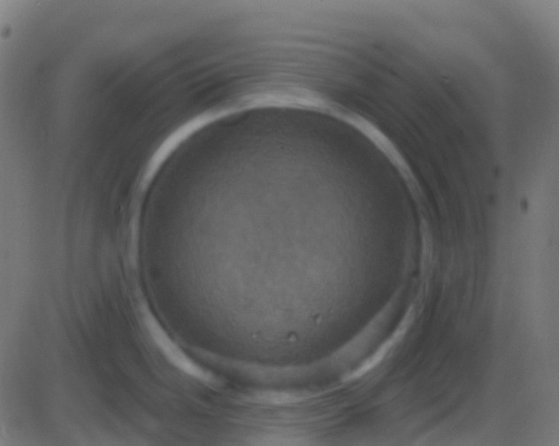 X0000086221246200704051232